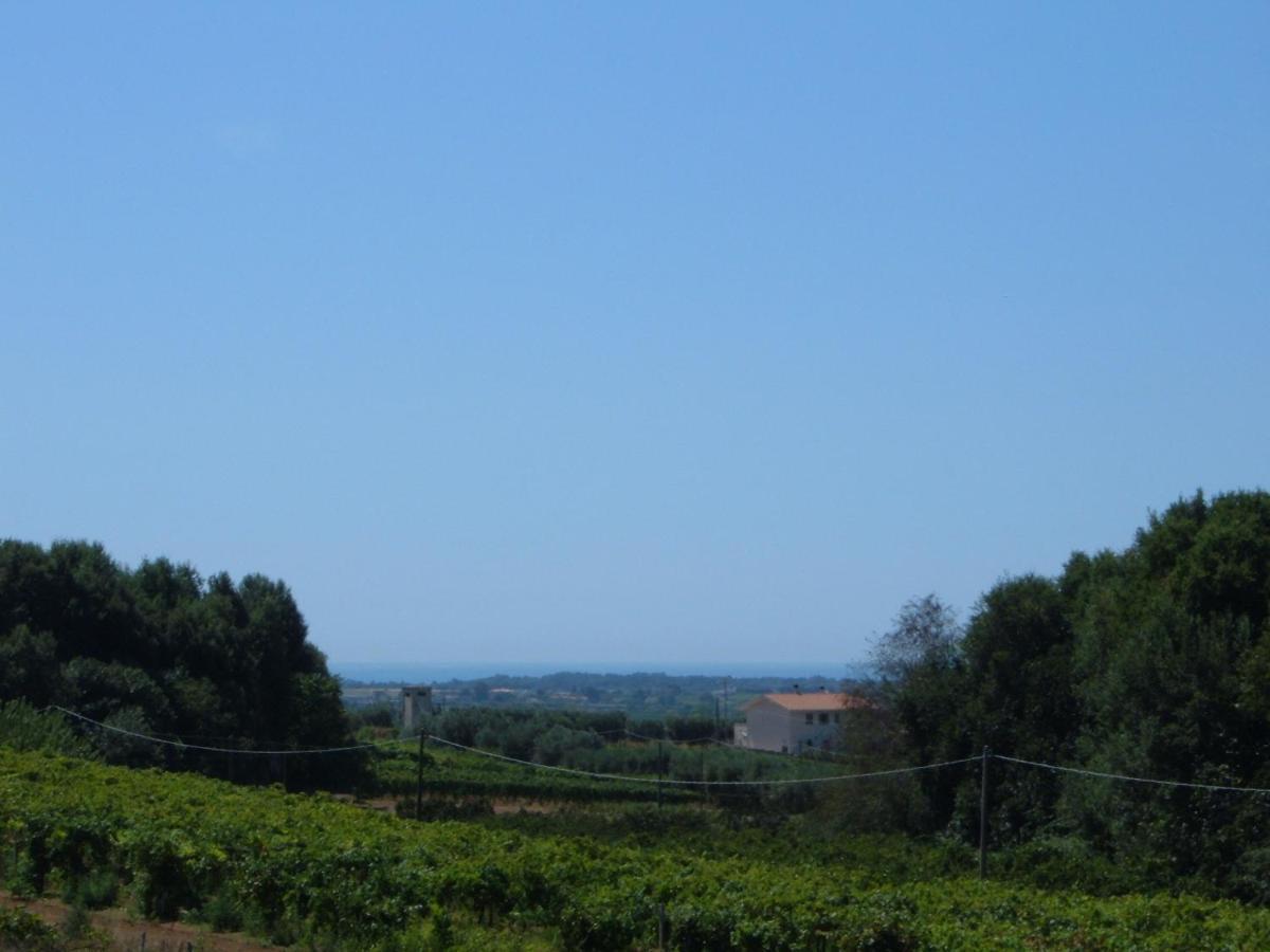 Azienda Agricola Sinisi Cerveteri Room photo