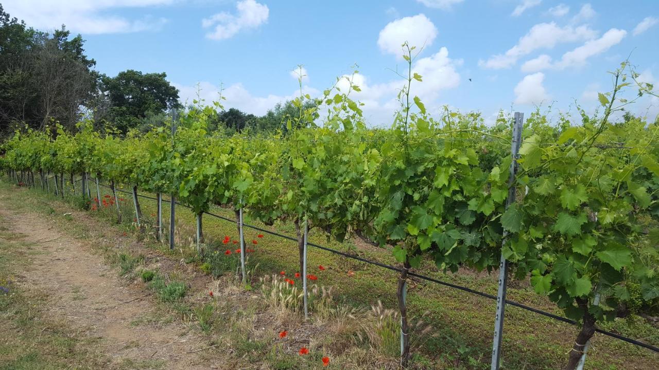 Azienda Agricola Sinisi Cerveteri Exterior photo