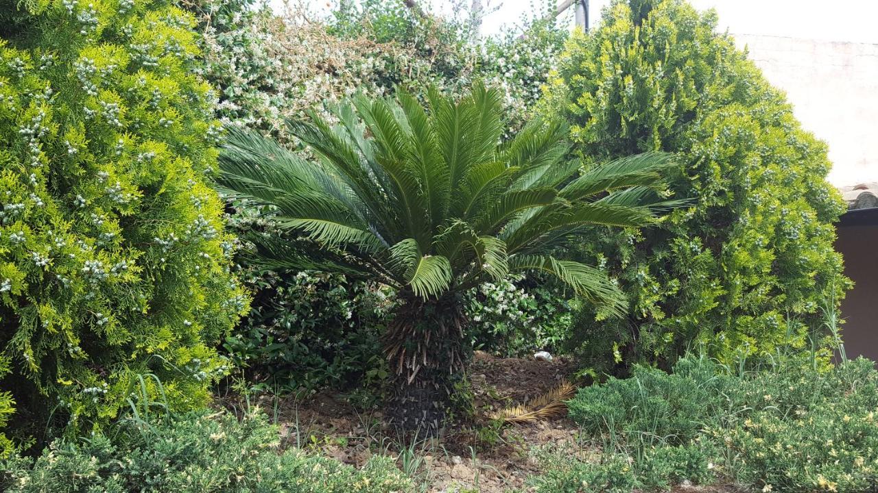 Azienda Agricola Sinisi Cerveteri Exterior photo
