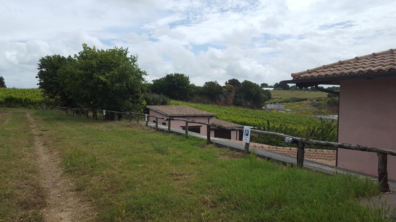 Azienda Agricola Sinisi Cerveteri Exterior photo