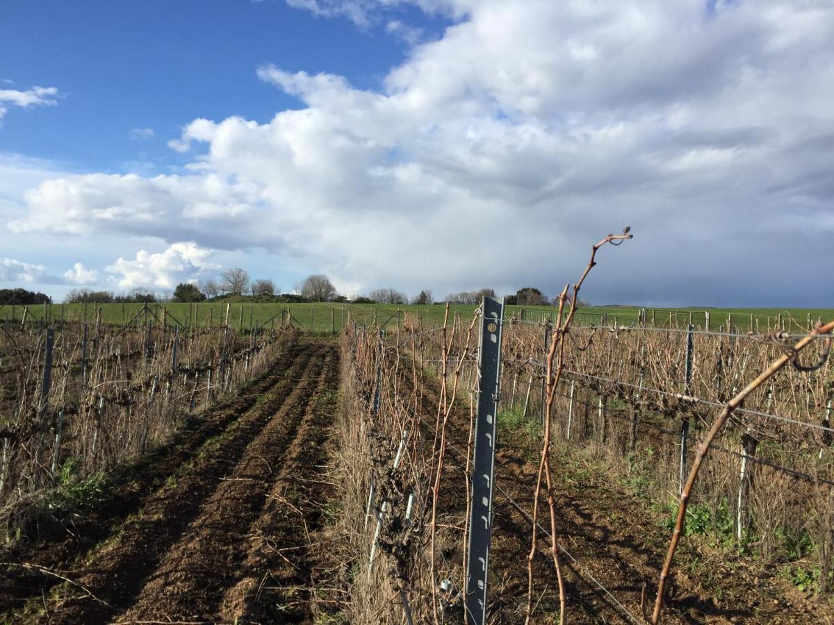 Azienda Agricola Sinisi Cerveteri Exterior photo