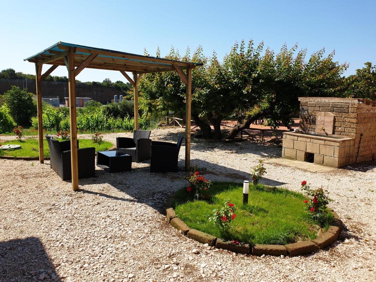 Azienda Agricola Sinisi Cerveteri Exterior photo