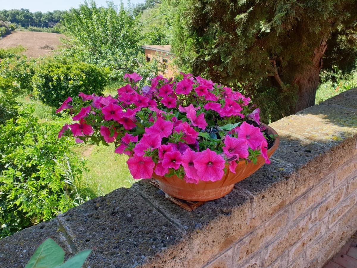 Azienda Agricola Sinisi Cerveteri Exterior photo
