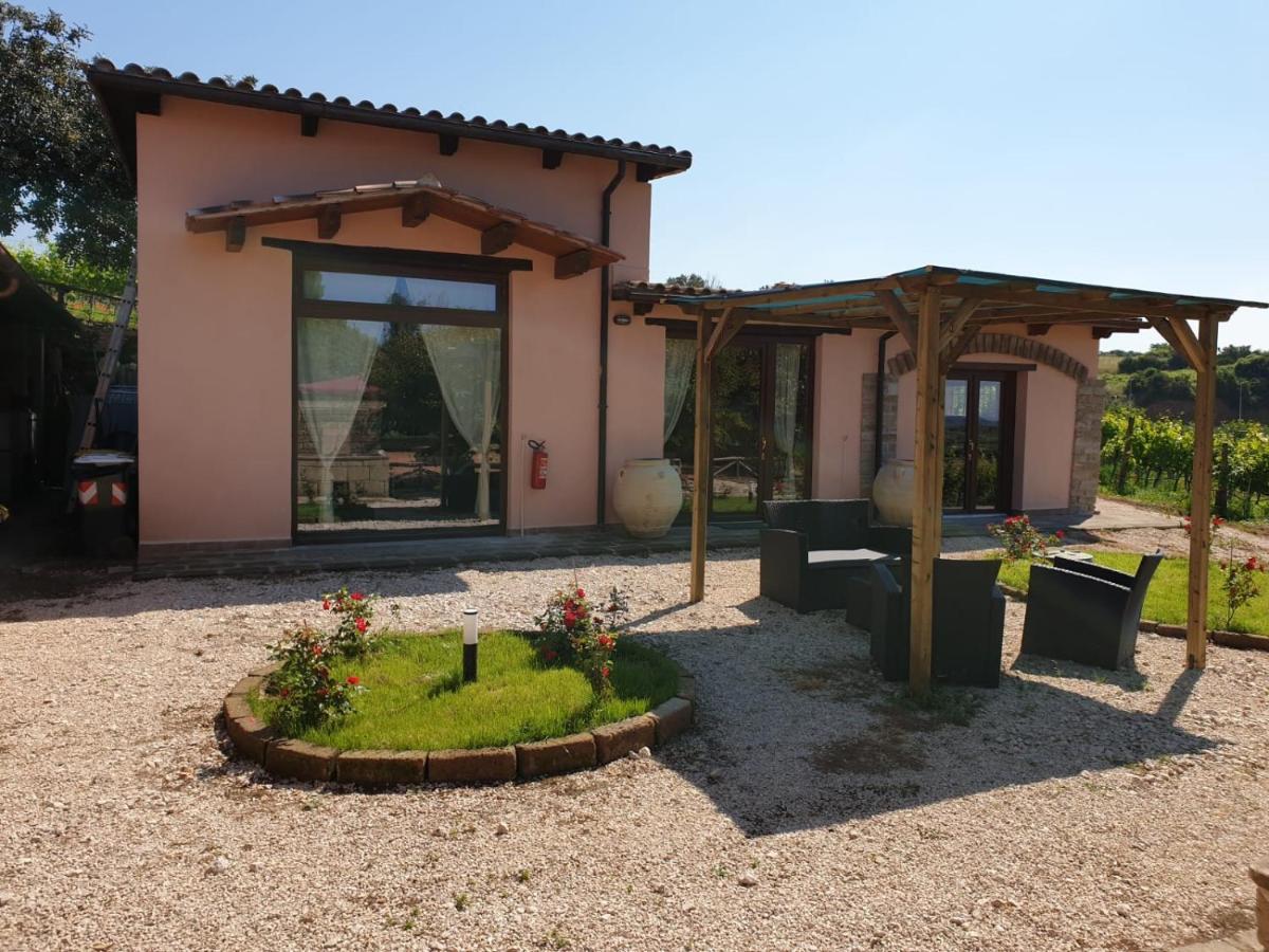 Azienda Agricola Sinisi Cerveteri Exterior photo