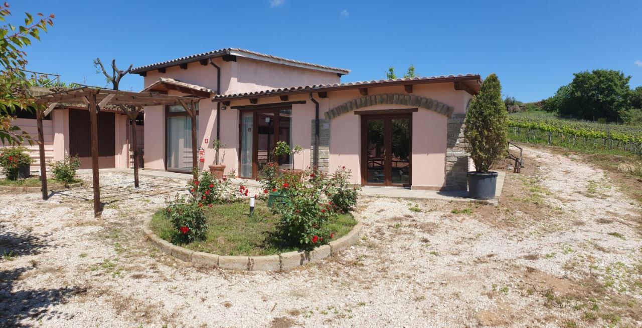 Azienda Agricola Sinisi Cerveteri Exterior photo