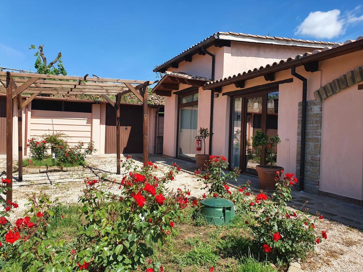 Azienda Agricola Sinisi Cerveteri Exterior photo