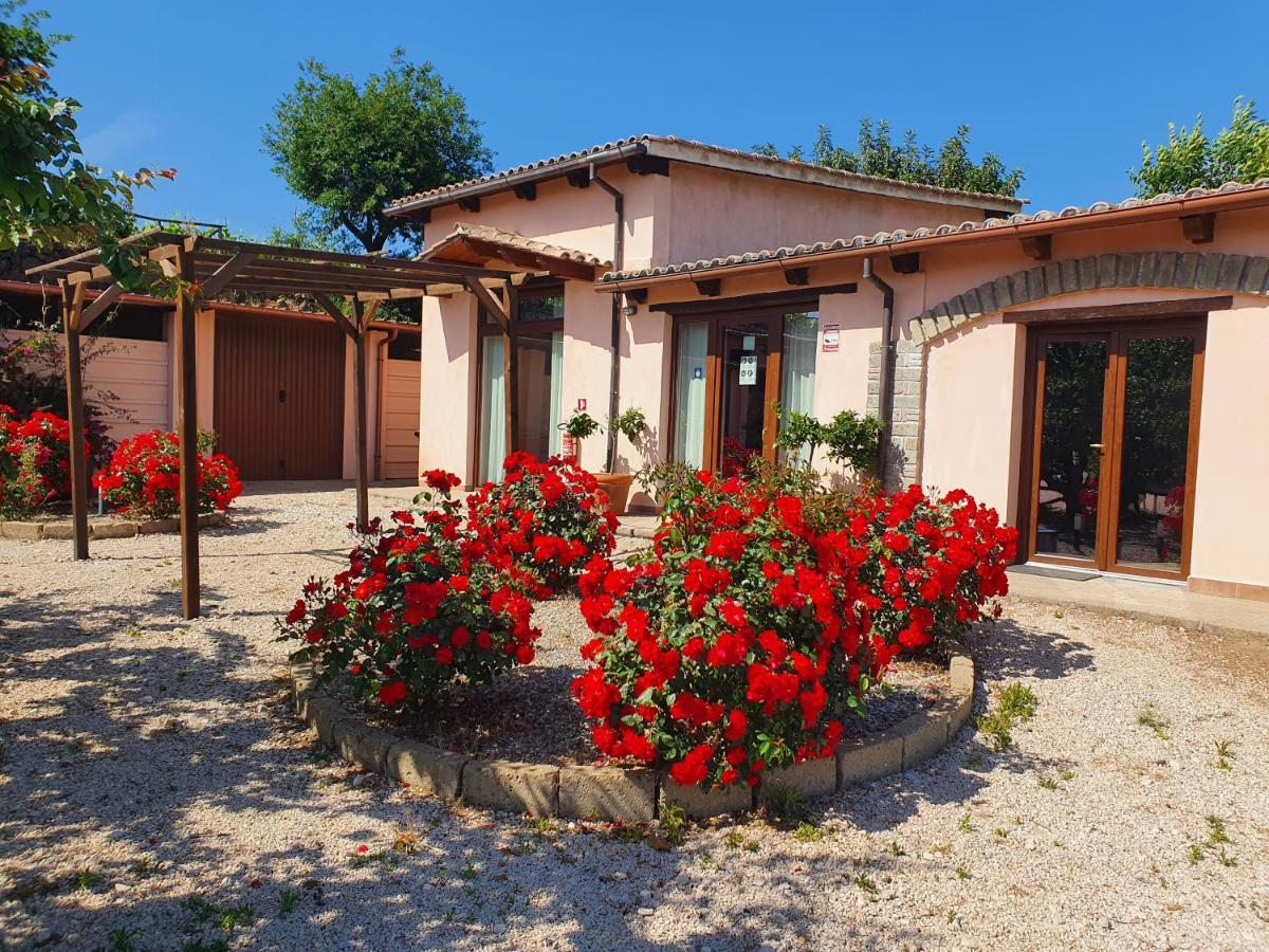 Azienda Agricola Sinisi Cerveteri Exterior photo