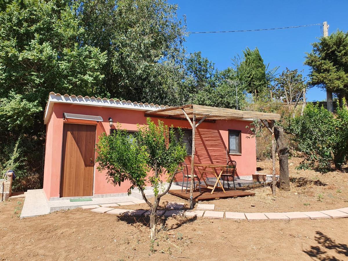 Azienda Agricola Sinisi Cerveteri Room photo