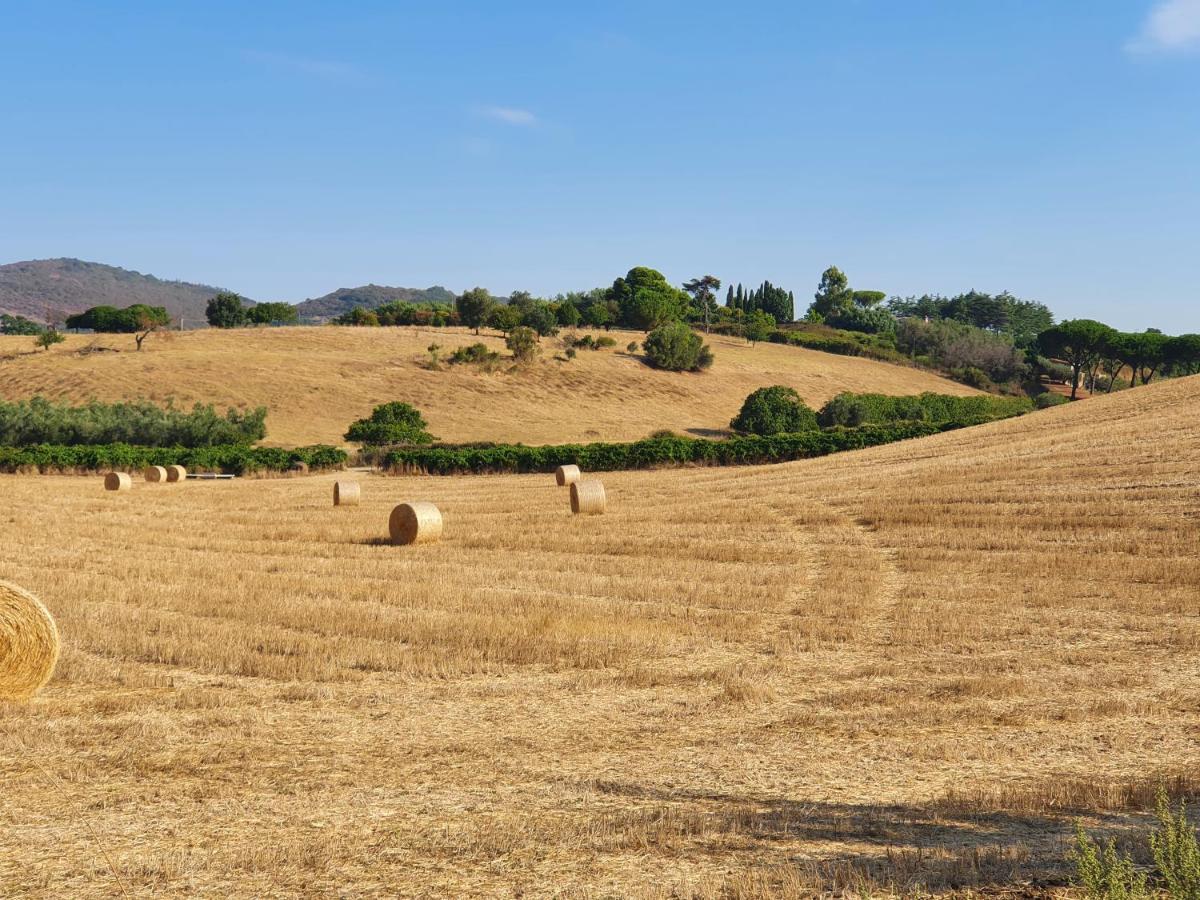Azienda Agricola Sinisi Cerveteri Exterior photo